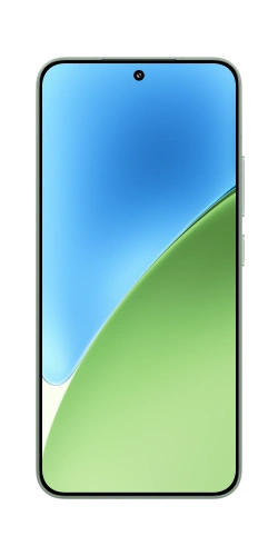 Xiaomi 15 12/256GB Green купить в Барнауле фото 6