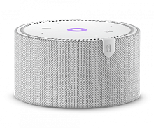 Колонка Яндекс.Станция Мини NEW YNDX-00021 серая купить в Барнауле